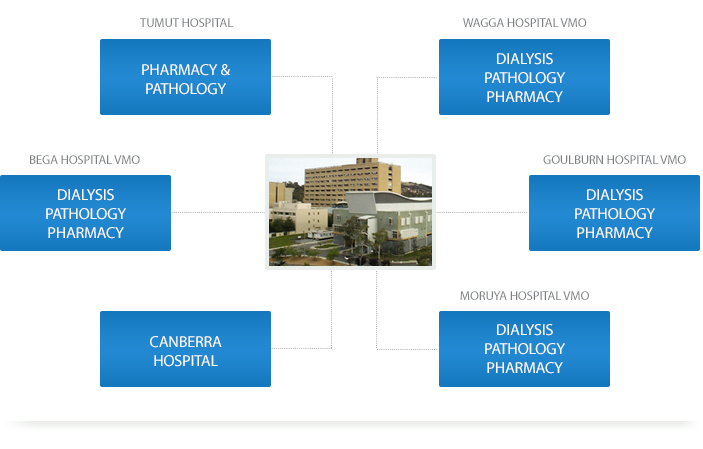 Workings of Kidney Life